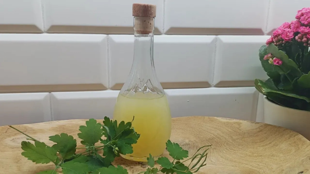 Balsam Bołotowa na co pomaga: odkryj jego niezwykłe właściwości zdrowotne